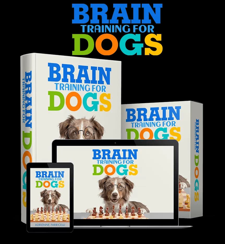 Brain Training for Dogs Review 2026: Does Adrienne Farricelli's Program Actually Work?